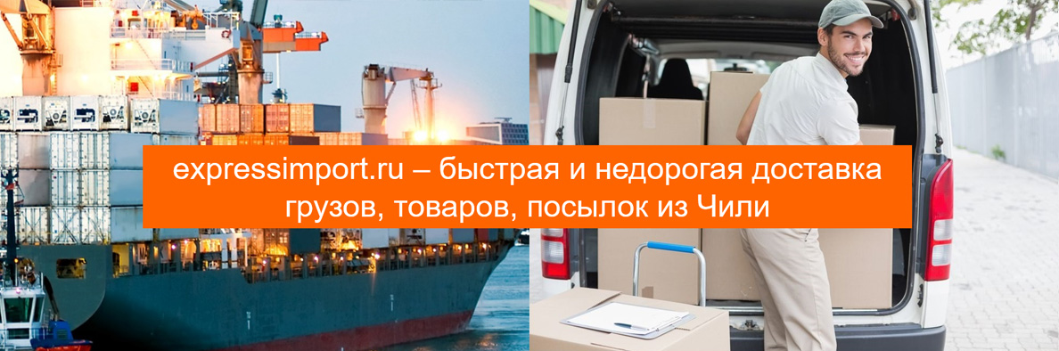 Доставка грузов из Чили в Россию, товаров, посылок